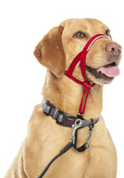 HALTI - Head Collar Harness - Red - Size 4