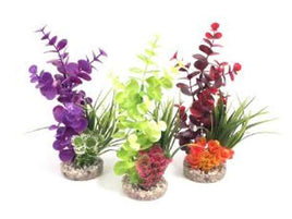 Rosewood - Sydeco Coloured Plants - Bouquet - 22cm