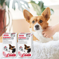 Beaphar - FIPROtec Combo for Small Dogs - 6 pipettes