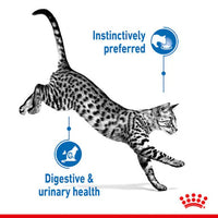 Royal Canin - Indoor Sterilised in Gravy 85g Pouch - 12 Pack