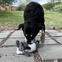 Kong - Sherps Floofs Sheep - Med