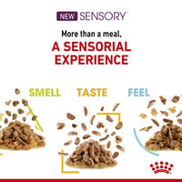 Royal Canin - Sensory Feel Morsels in Jelly 85g Pouches - 12 Pack