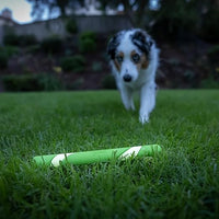 Chuckit - Max Glow Ultra Fetch Stick - 28cm