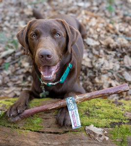 Anco - Giant Bully Biltong Tube