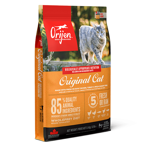 Buy orijen cat store food