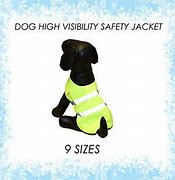 PetGear - Hi Vis Jacket - 12"