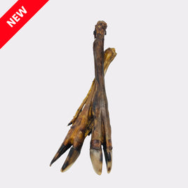 Anco - Natural Deer Leg - Large