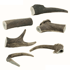 The Wild Antler Co - Antler Chew - Medium (75-100g)