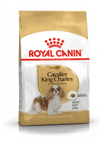 Royal Canin - Cavalier King Charles Adult Dry Food - 75kg