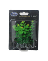 Betta Choice - Small Bacopa Aquarium Plant - 8cm