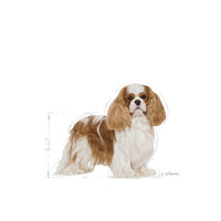 Royal Canin - Cavalier King Charles Adult Dry Food - 75kg