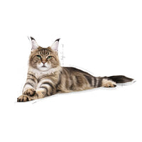 Royal Canin - Maine Coon Dry Cat Food - 4kg