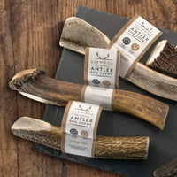 Elkwood - 100% Natural Antler Chew - Giant