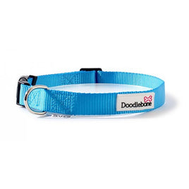 Doodlebone - Originals Collar - Cyan - Size XL (60-75cm)