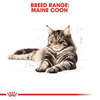 Royal Canin - Maine Coon Dry Cat Food - 4kg