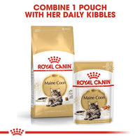 Royal Canin - Maine Coon Dry Cat Food - 4kg