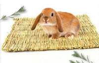 Rosewood - Naturals Chill 'n' Chew Mat