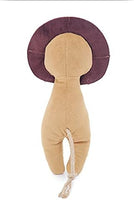 Rosewood - ECO Friendly Lion Dog Toy