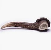 Elkwood - 100% Natural Antler Chew - Giant