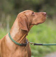 Country Pet - Luxury Rope Dog Collar - Forest Green - 21" to 24"