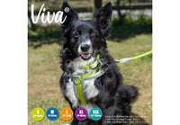 Ancol - Viva Nylon Padded Harness - Lime - Small (36-42cm)