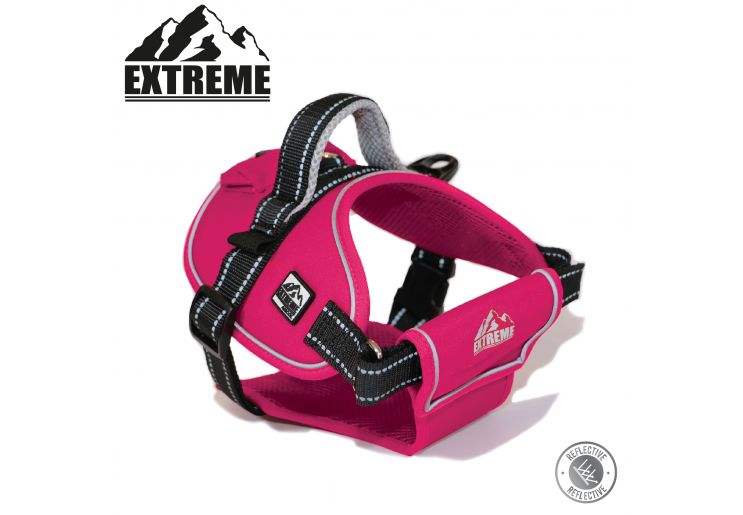 Ancol extreme harness best sale