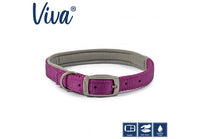 Ancol - Viva Nylon Padded Buckle Collar - Purple - Size 8 (55-63cm)