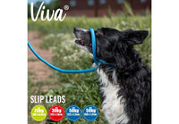 Ancol - Viva Nylon Reflective Rope Slip Lead - Black - 150cm x 12mm (Max 50kg)