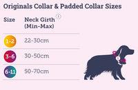 Doodlebone - Originals Collar - Aqua - 6-11