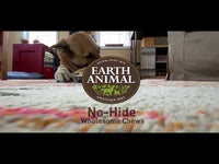 Earth Animal - No Hide - The Feast One (Turkey) - Large Chew