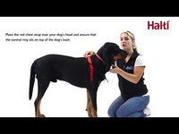 Company of Animals - Halti Front Control Harness - Black - Large