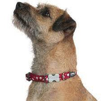 Red Dingo - Turquoise & White Star Dog Collar - X Small