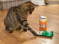 Dreamies - Cat Treats with Catnip - 60g