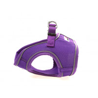 Doodlebone - Originals Snappy Harness - Violet - Size 1