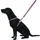 Red Dingo - Black/White Safari Lead - Small