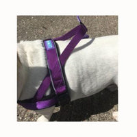 Dog & Co - Reflective & Padded Norwegian Harness - Purple - Small