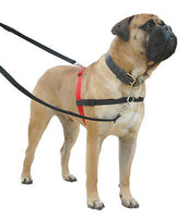 Company of Animals - Halti Front Control Harness - Black - Large