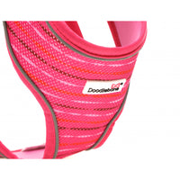 Doodlebone - Originals Pattern Airmesh Harness - Pink Addiction - Size 4